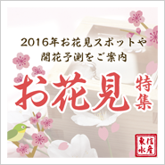 東信水産が提唱する「お花見」特集